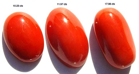 Photo of astrological ayurvedic red coral