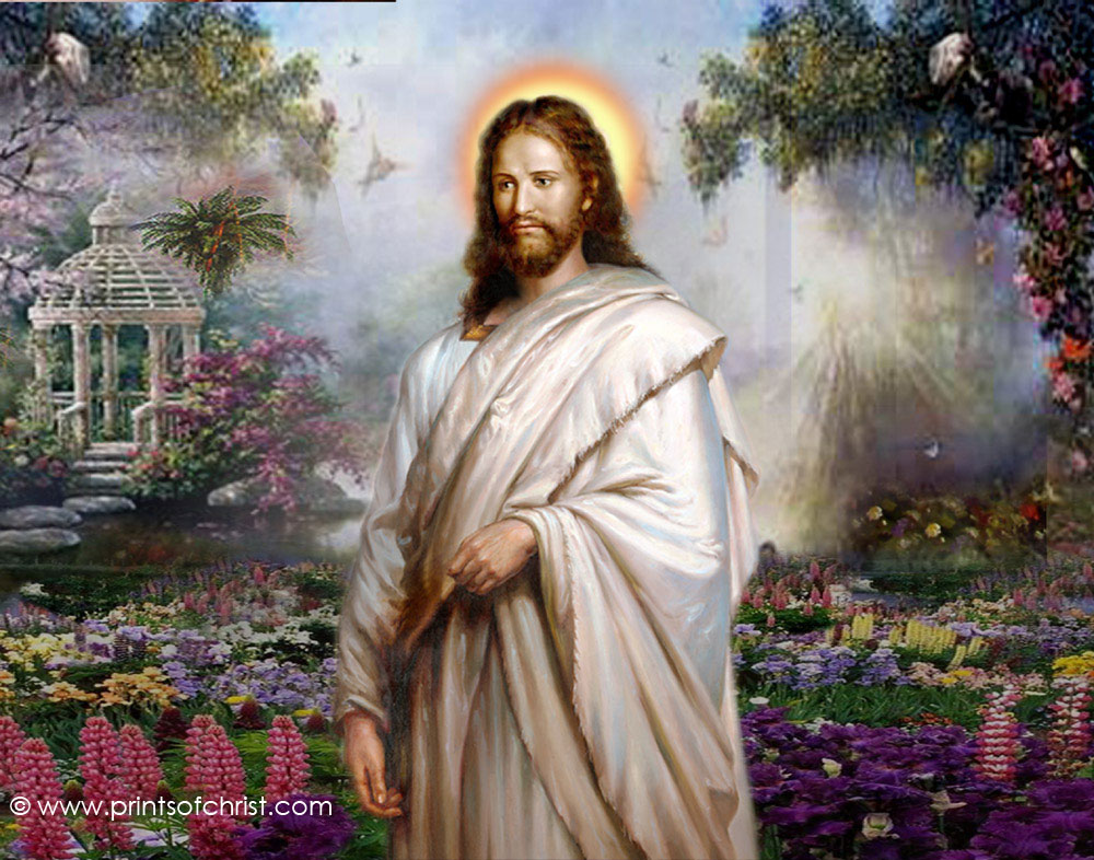 Jesus in garden picture