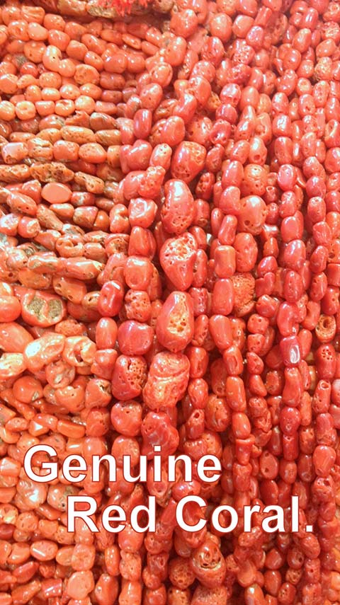Genuine red coral. It can be very difficult to tell the difference between real and fake red coral.
