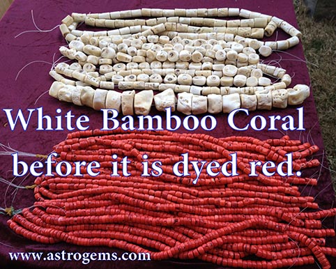 White bamboo coral before it is dyed red.