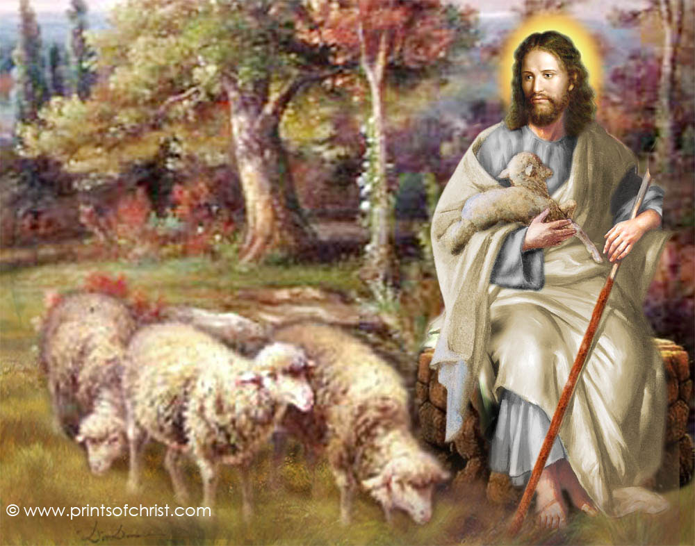 Jesus the Shepherd Picture