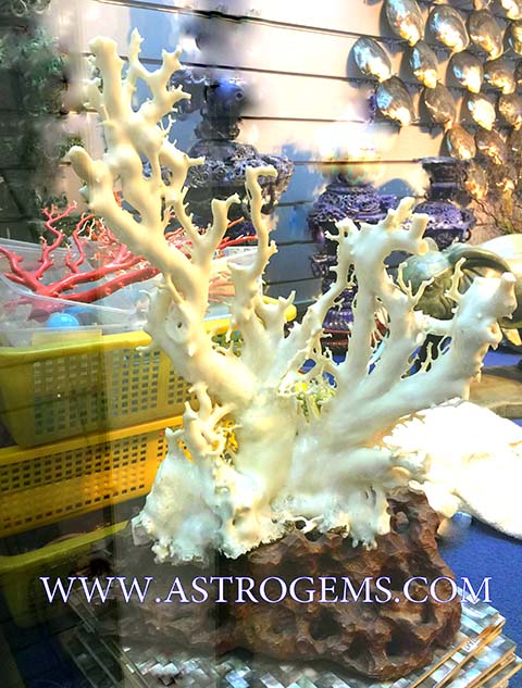 An example of astrological ayurvedic grade white coral